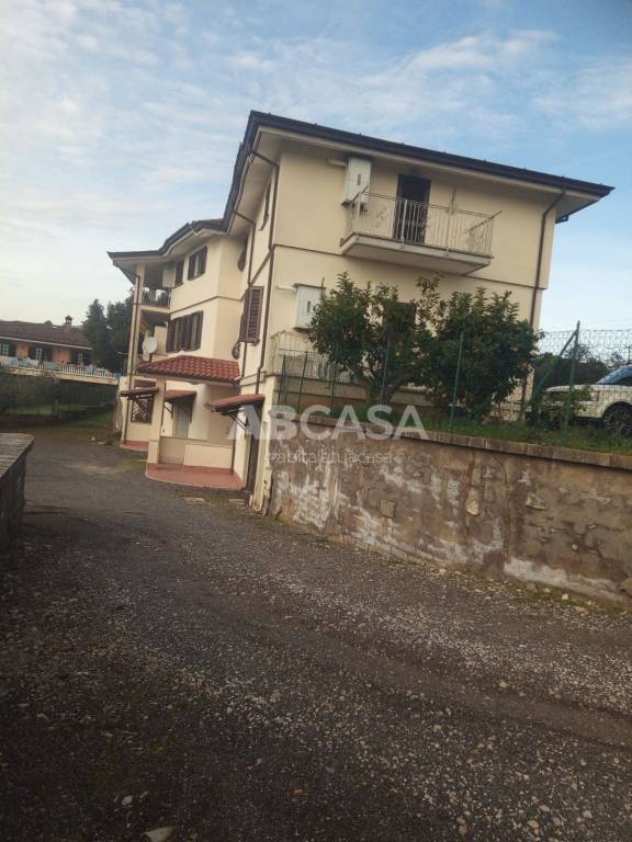 immagine annuncio 13 di 14