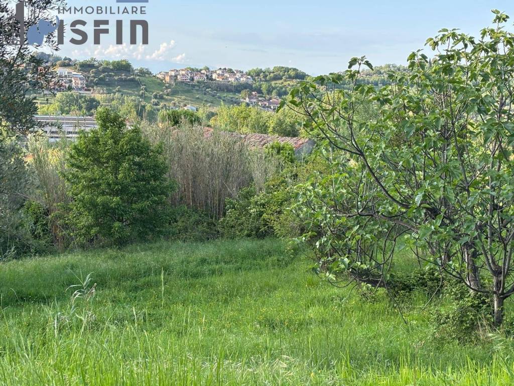 immagine annuncio 1 di 6