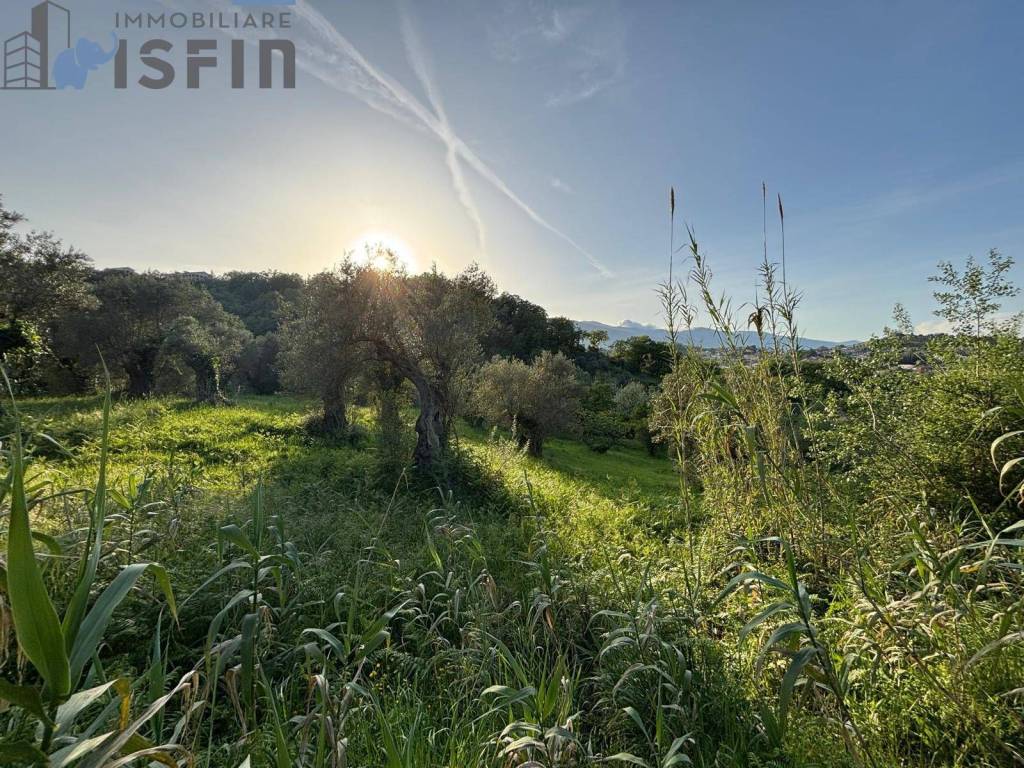 immagine annuncio 3 di 6