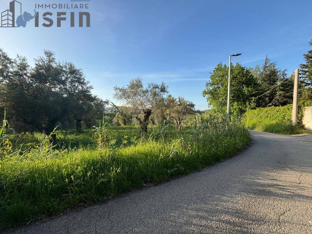 immagine annuncio 4 di 6