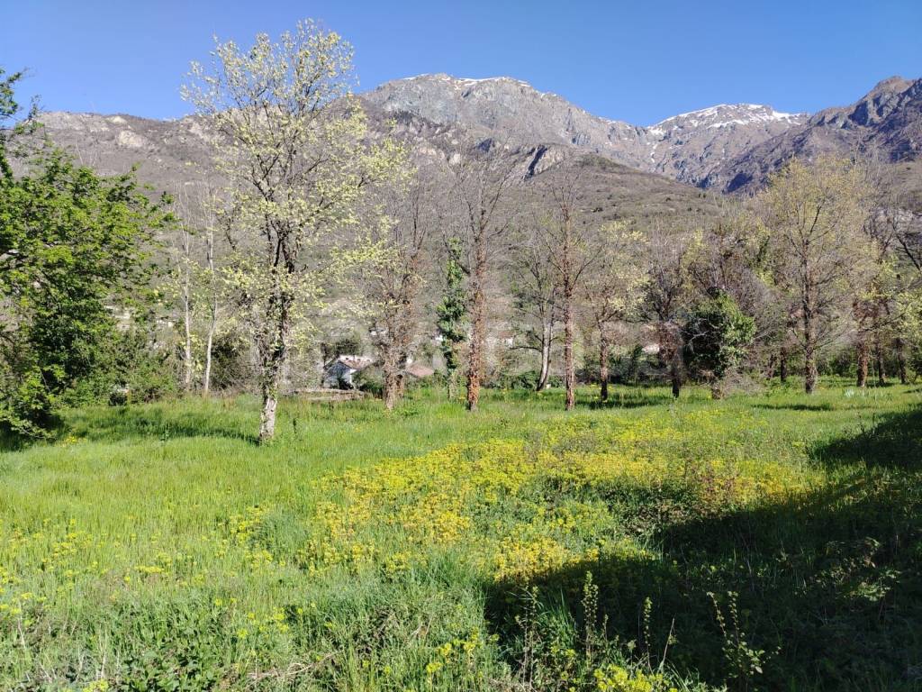 immagine annuncio 5 di 7