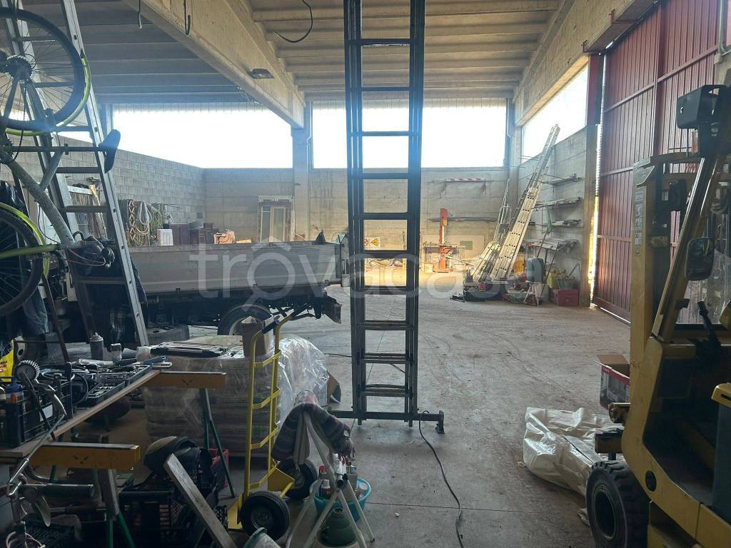 immagine annuncio 6 di 15