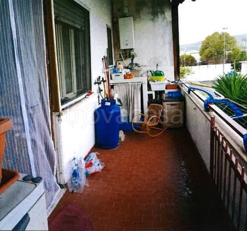 immagine annuncio 9 di 11