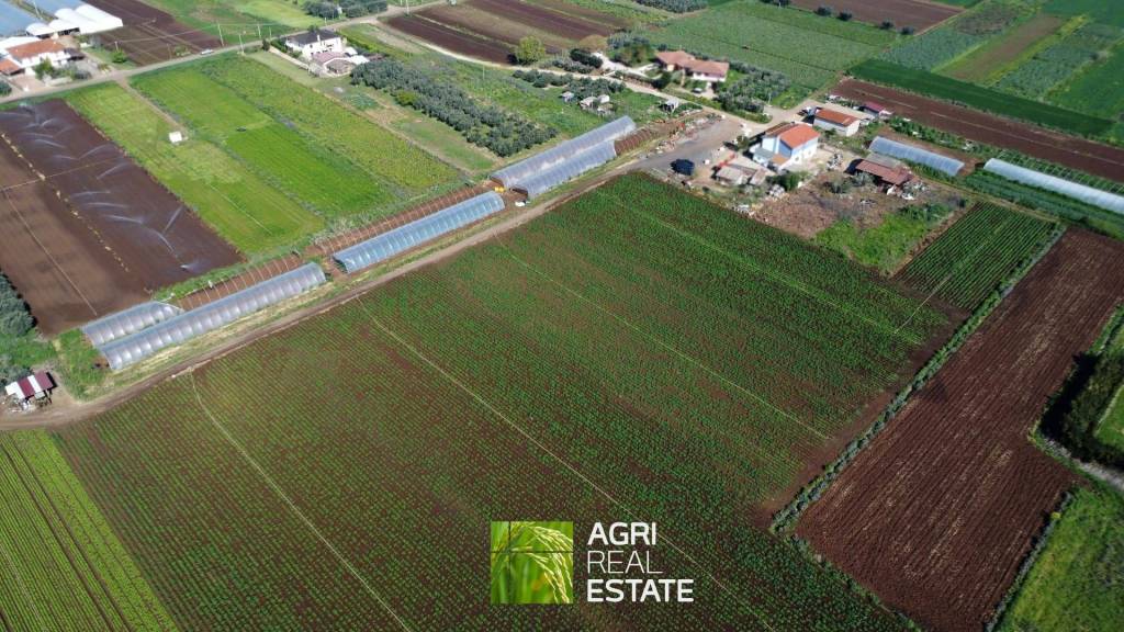 immagine annuncio 2 di 11