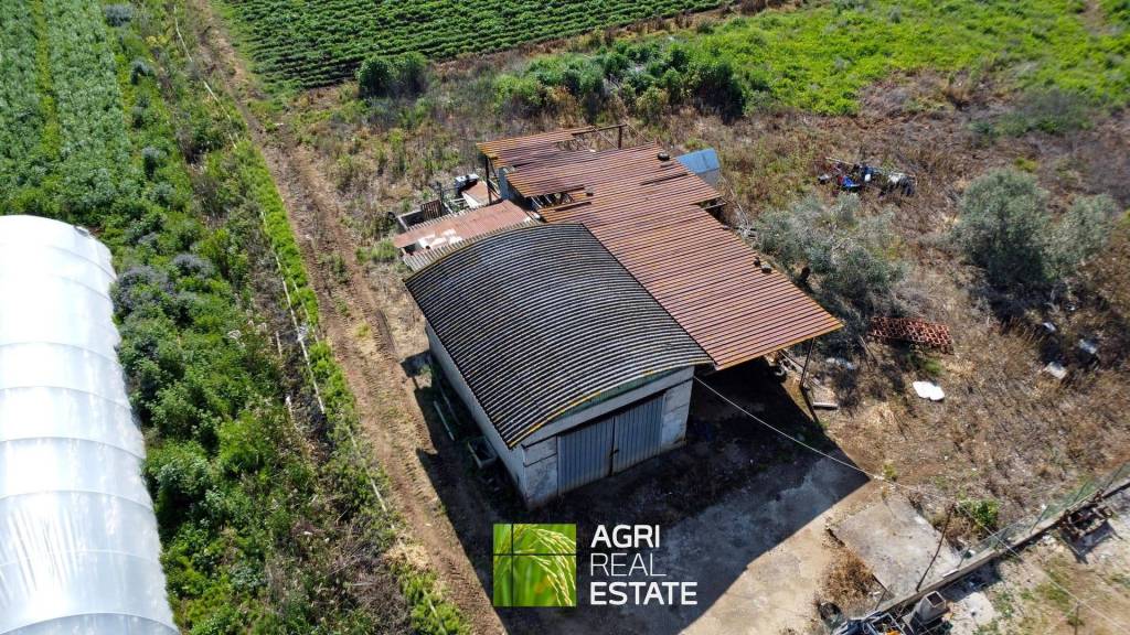 immagine annuncio 4 di 11