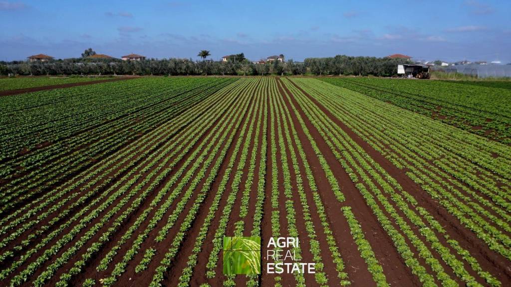 immagine annuncio 5 di 11