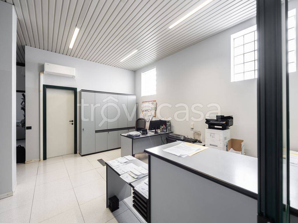 immagine annuncio 5 di 14