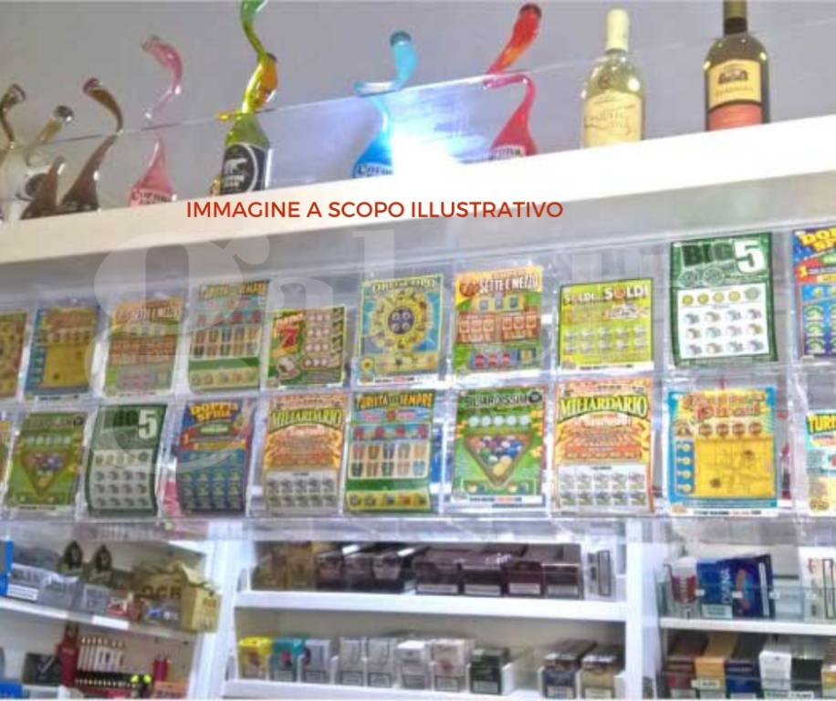 immagine annuncio 3 di 9