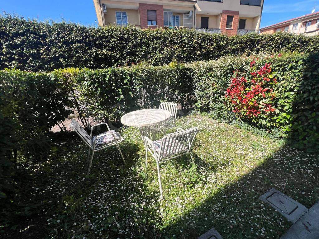 immagine annuncio 3 di 13