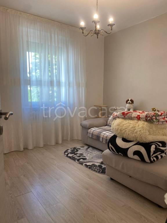 immagine annuncio 3 di 9