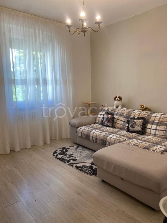 immagine annuncio 6 di 9