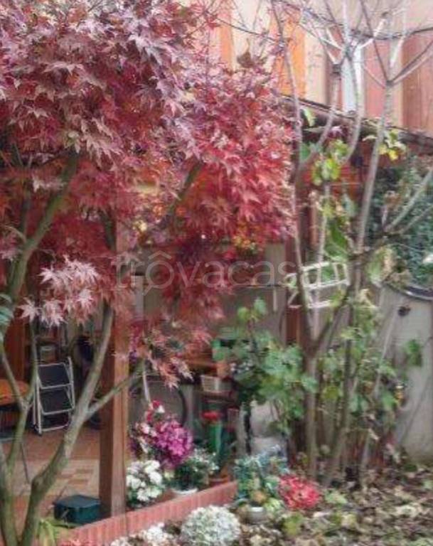 immagine annuncio 5 di 11