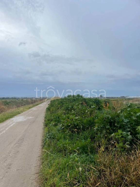 immagine annuncio 8 di 14