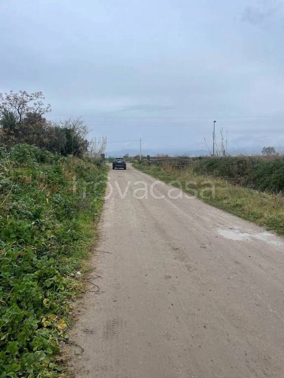 immagine annuncio 9 di 14