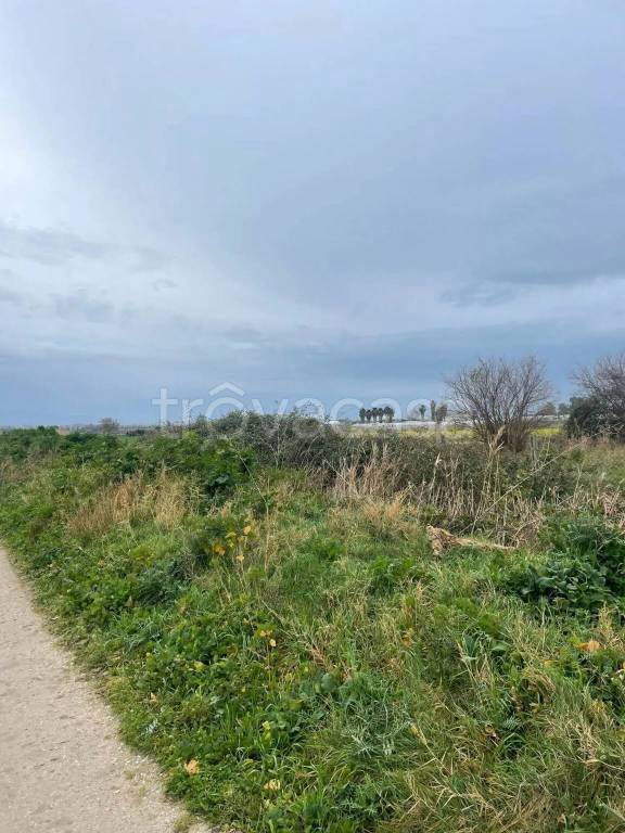 immagine annuncio 10 di 14