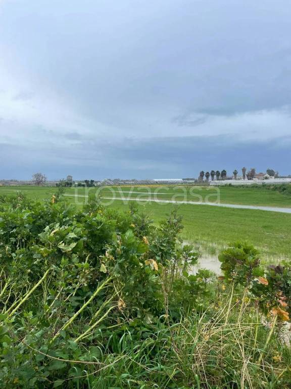 immagine annuncio 11 di 14