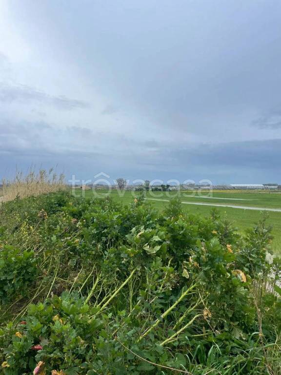 immagine annuncio 12 di 14