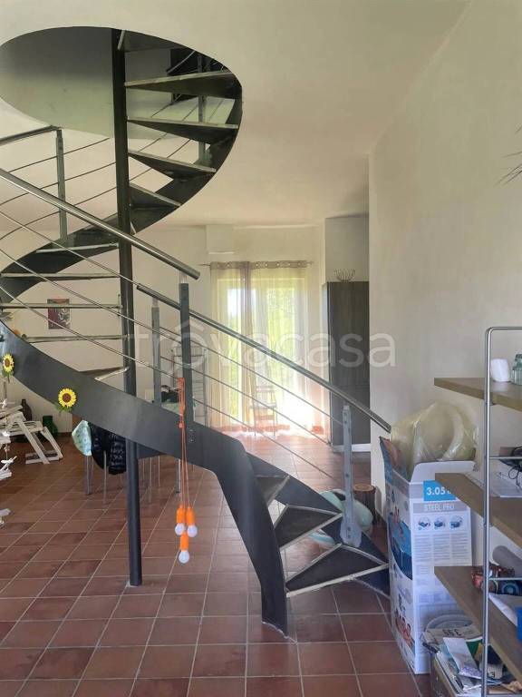immagine annuncio 9 di 15