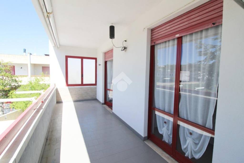 immagine annuncio 9 di 15