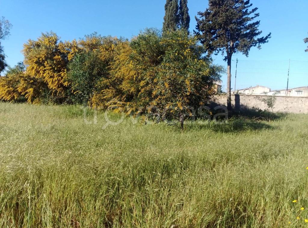 immagine annuncio 3 di 11