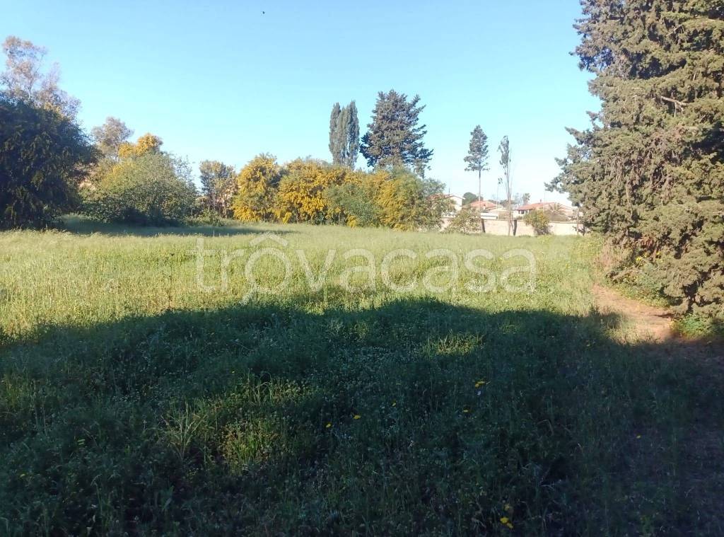 immagine annuncio 4 di 11