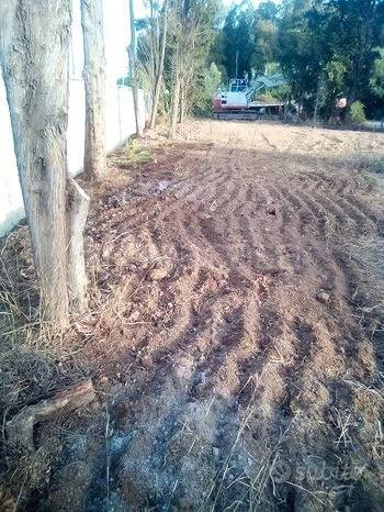 immagine annuncio 6 di 11