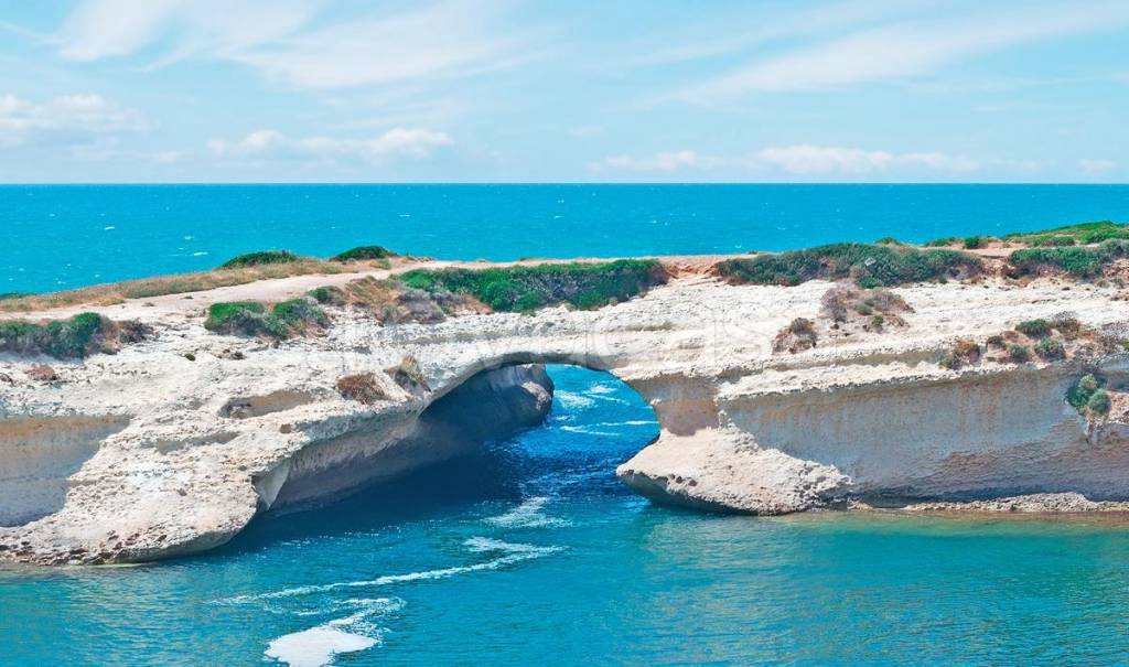 immagine annuncio 7 di 11