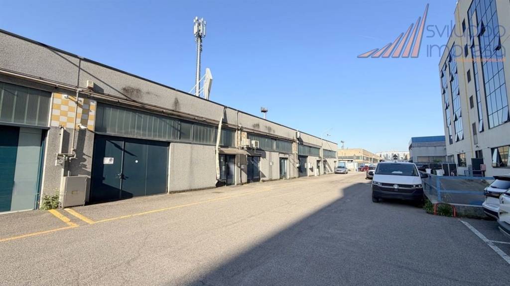 immagine annuncio 13 di 15