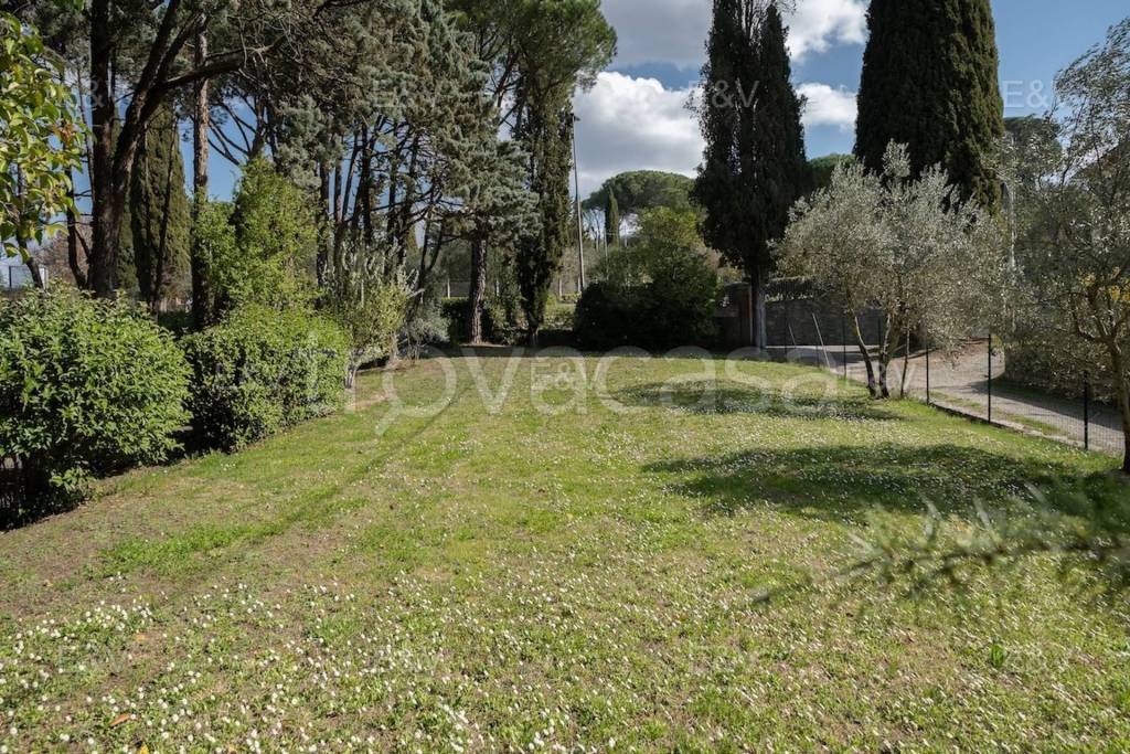 immagine annuncio 12 di 14