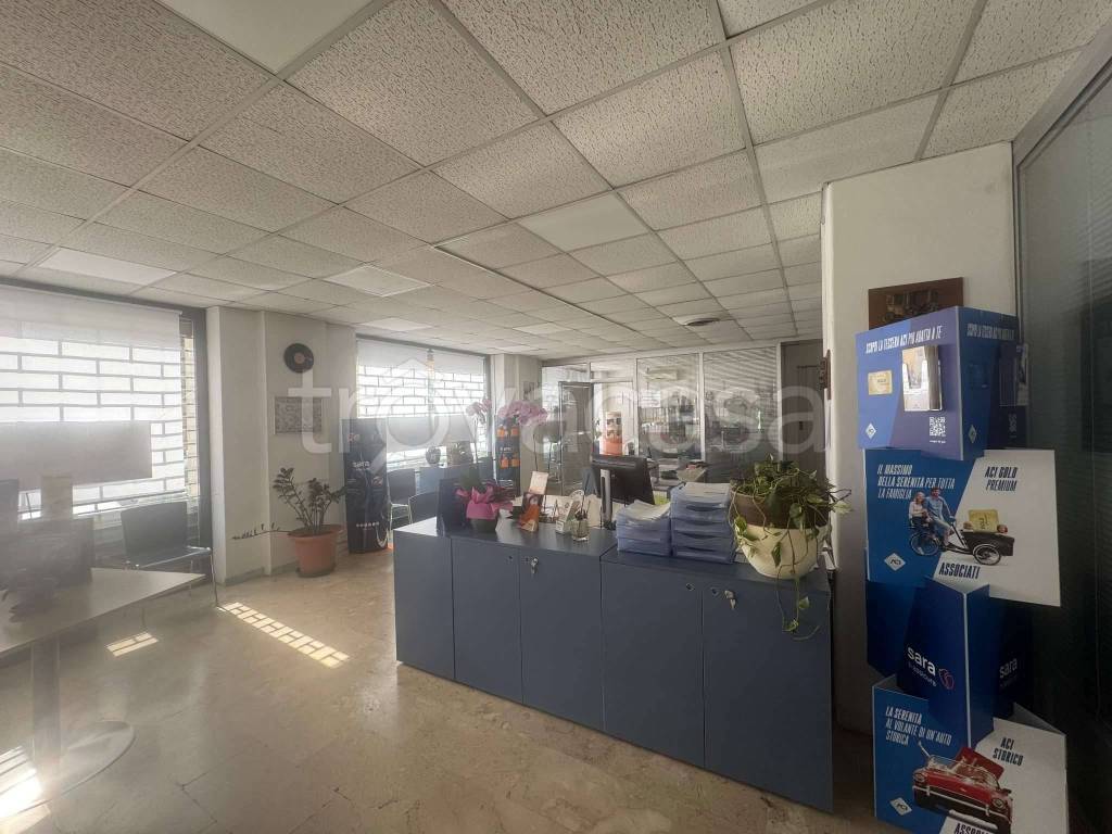 immagine annuncio 4 di 14