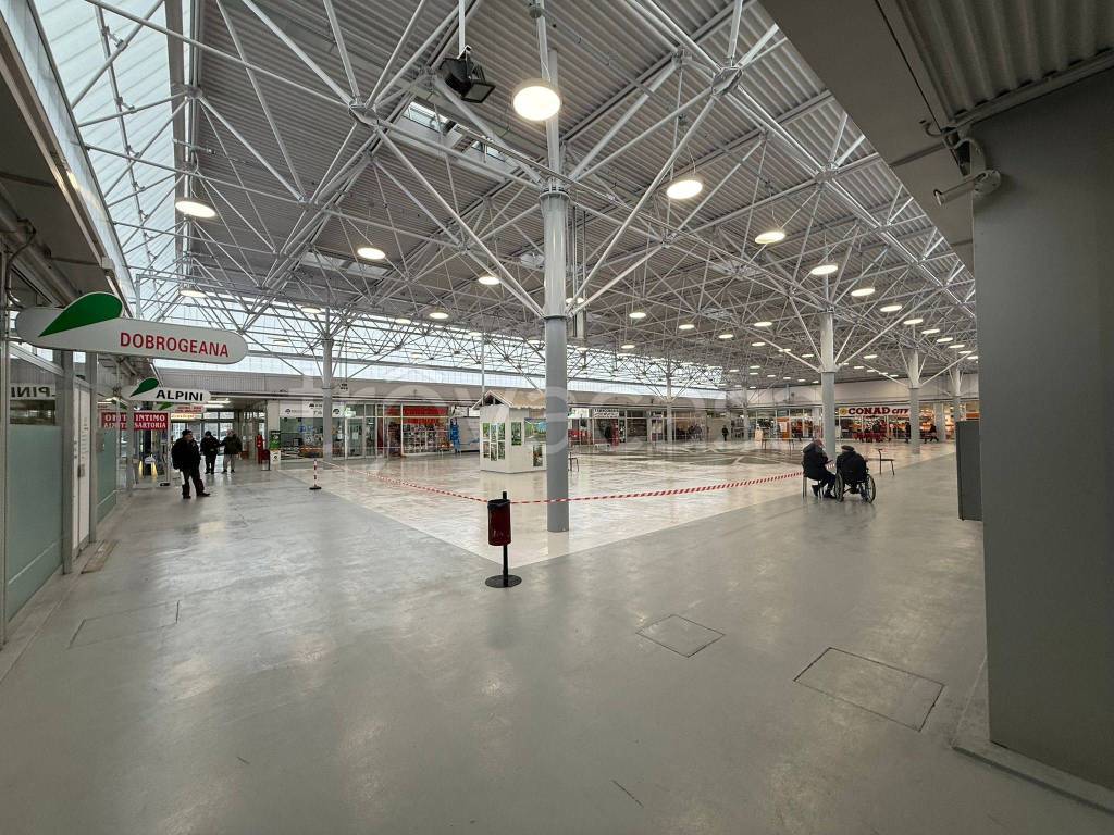 immagine annuncio 5 di 11