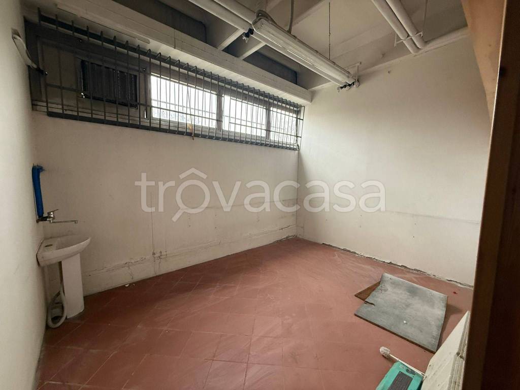 immagine annuncio 9 di 11