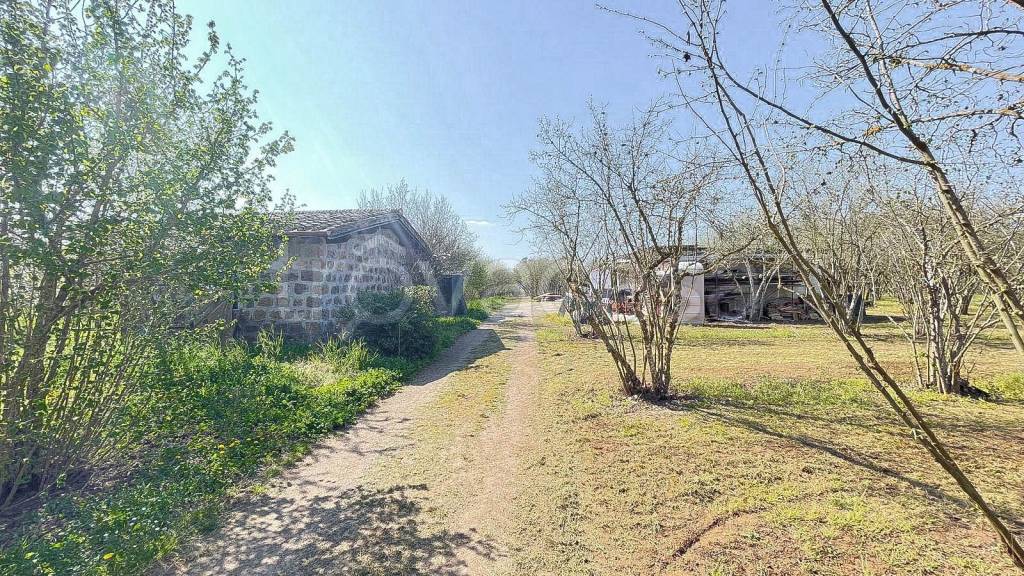 immagine annuncio 1 di 14