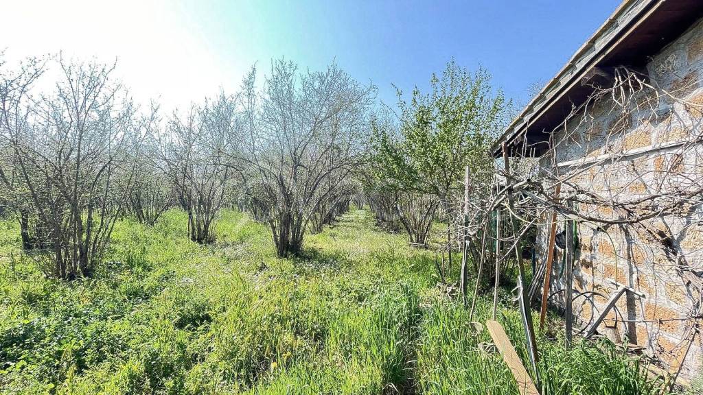 immagine annuncio 2 di 14