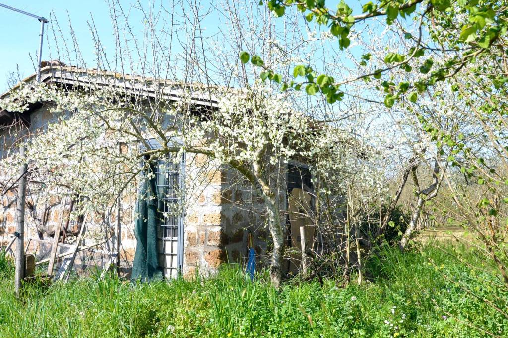 immagine annuncio 3 di 14