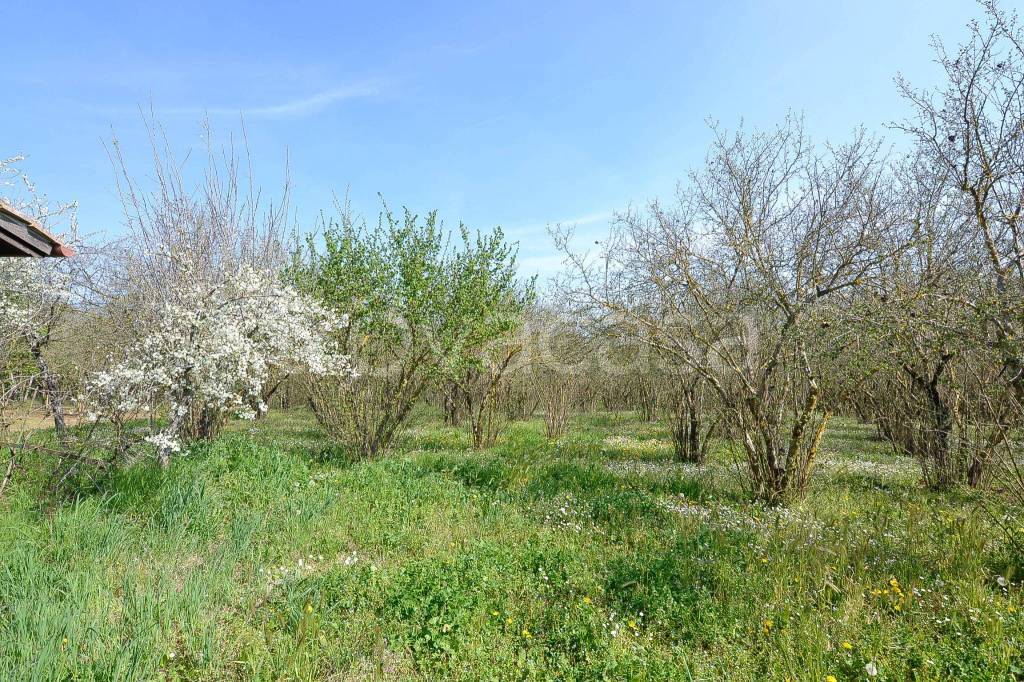 immagine annuncio 8 di 14