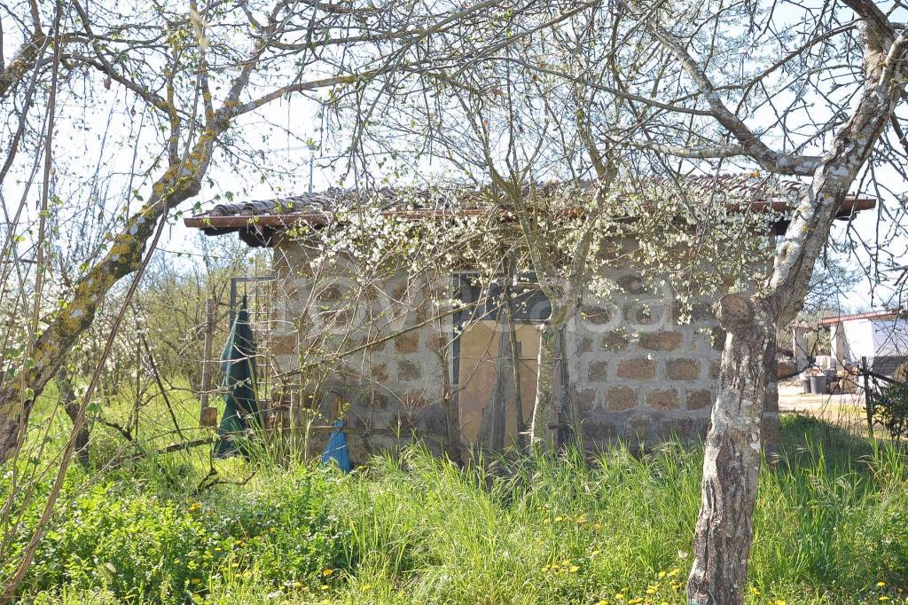 immagine annuncio 9 di 14