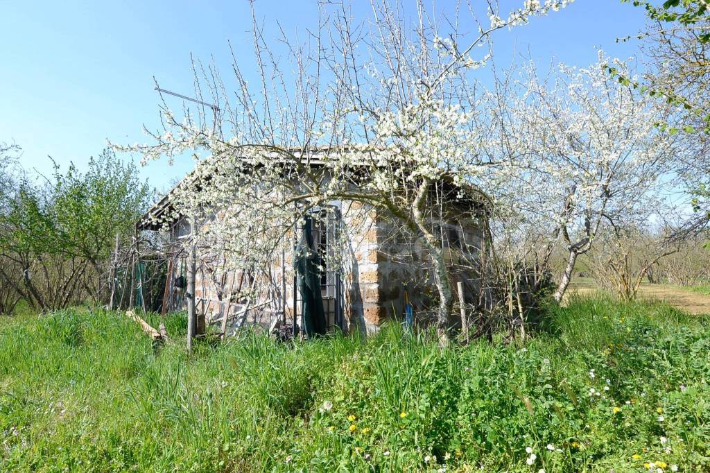 immagine annuncio 10 di 14