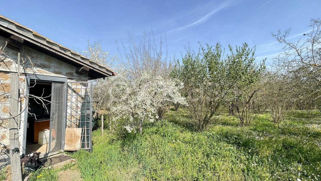 immagine annuncio 11 di 14