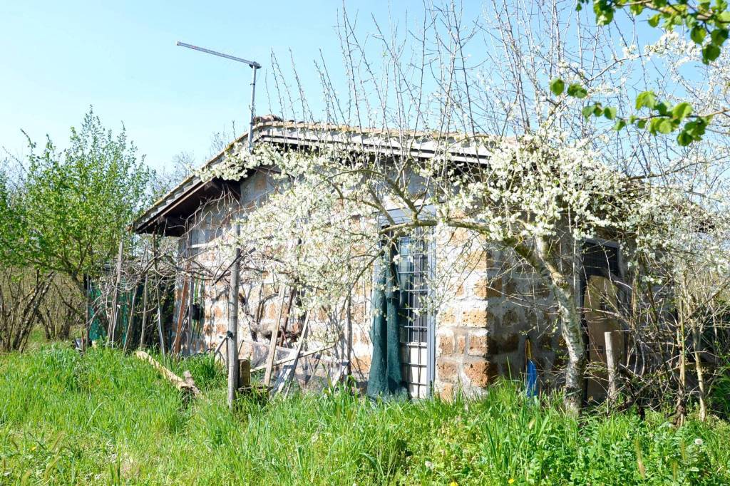 immagine annuncio 12 di 14