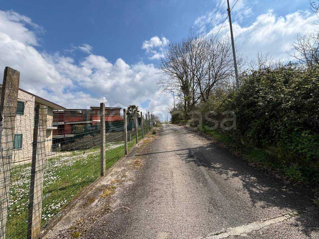 immagine annuncio 2 di 7