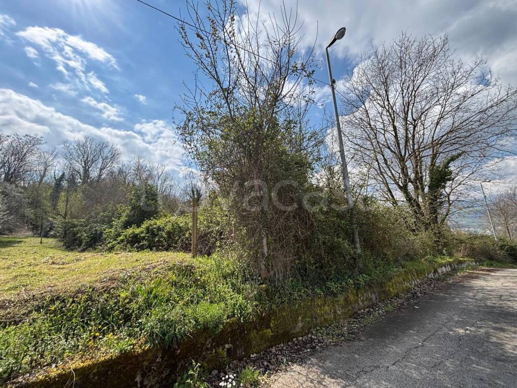 immagine annuncio 3 di 7