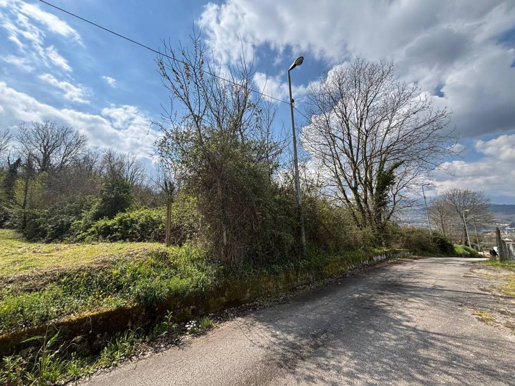 immagine annuncio 4 di 7