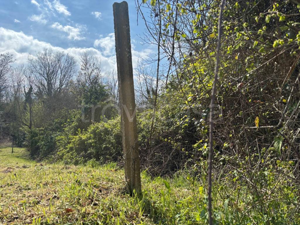 immagine annuncio 5 di 7