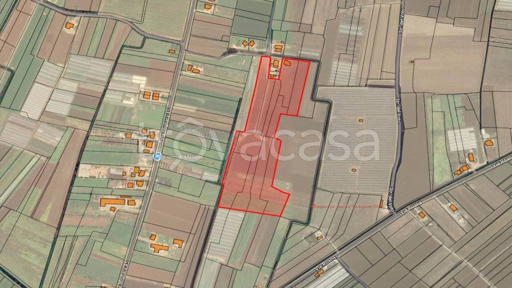 immagine annuncio 7 di 11