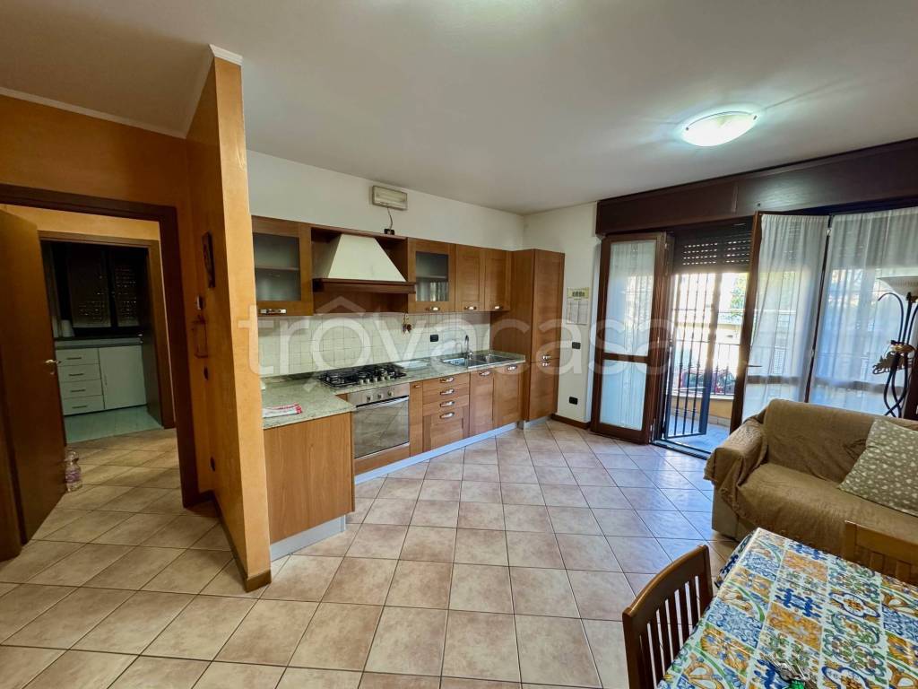 immagine annuncio 3 di 14