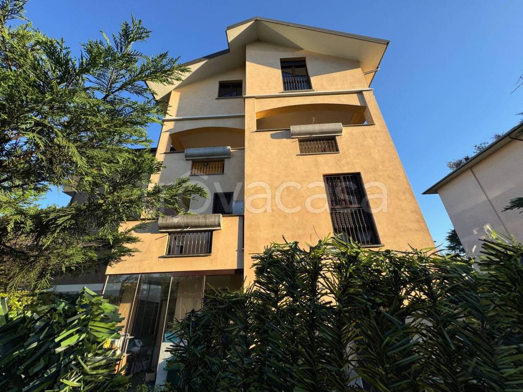 immagine annuncio 6 di 14