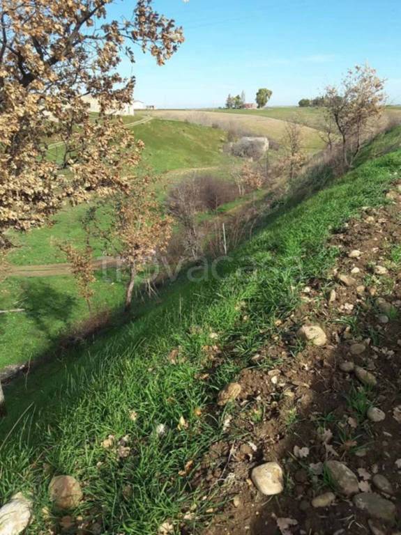 immagine annuncio 3 di 8