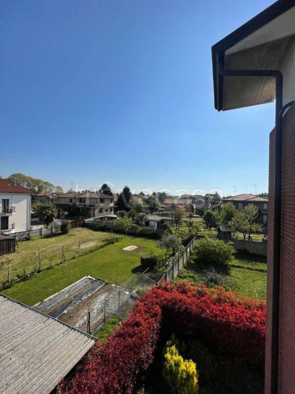 immagine annuncio 6 di 8