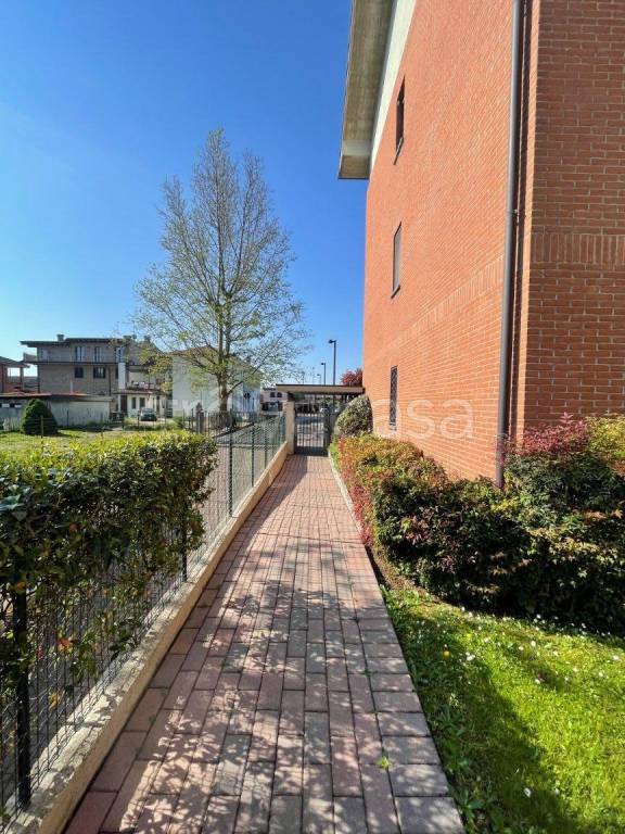 immagine annuncio 3 di 8